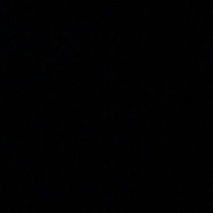 Meet your Posher, Leila